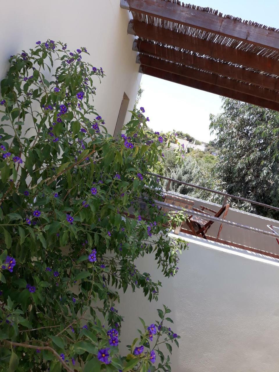 Vilana Studios Kalamos  Luaran gambar