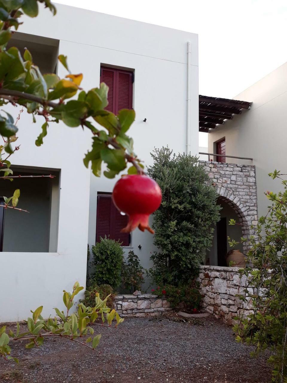 Vilana Studios Kalamos  Luaran gambar